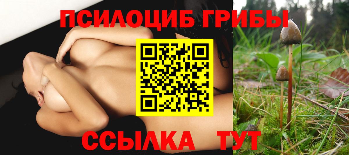 Псилоцибиновые грибы MAGIC MUSHROOMS  Вход с VPN  Обнинск  Псилоцибиновые грибы мухоморы 